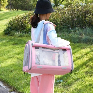 Lightweight and breathable pet backpack