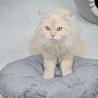 Classic Square Foldable Warm Pet House Bed